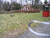 Forhave med br�nd