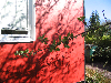 En �blegren